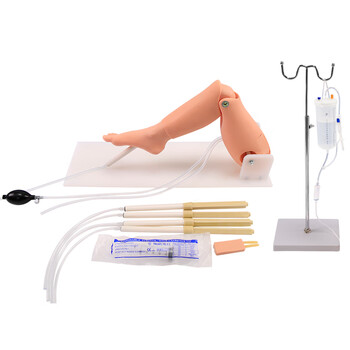 勤良胫骨穿刺训练模型 成人骨髓腔穿刺训练股静脉 穿刺输液训练模块 骨髓穿刺训练模块QL/L65A