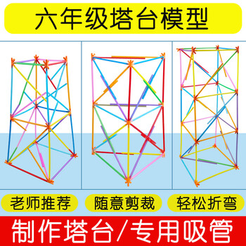 舜江 六年级下册塔台模型搭建20厘米cm实验手工专用吸管小学制作材料