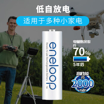 爱乐普(eneloop)充电电池5号五号4节套装适用相机闪光灯玩具K-KJ51MCC40C含51标准充电器 黑神话悟空游戏手柄电池 爱乐普(eneloop)充电电池5号五号4节套装适用相机闪光灯玩具K-KJ51MCC40C含51标准充电器 黑神话悟空游戏手柄电池