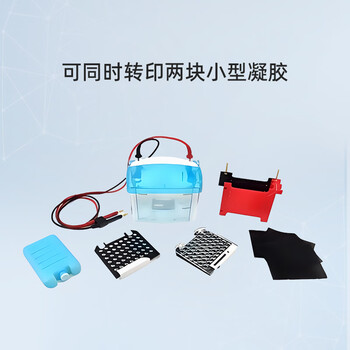 六一牌（LY） 转印电泳仪DYCZ-TRANS2 实验室凝胶蛋白电泳槽分子转印槽琼脂糖核酸生物电泳设备