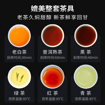 格亚（GEYA）抗菌纯钛茶水分离杯 纯钛保温杯纯钛杯温显泡茶杯子水杯定制户外