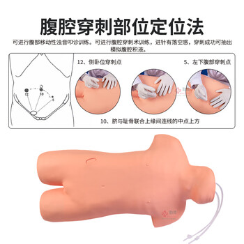 勤良腹部移动性浊叩诊与腹腔穿刺训练模型 高级综合穿刺叩诊训练模拟人人体急救训练护理人QL/CK813 勤良腹部移动性浊叩诊与腹腔穿刺训练模型 高级综合穿刺叩诊训练模拟人人体急救训练护理人QL/CK813