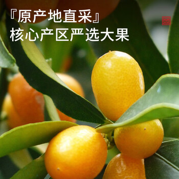 贡苑 花果茶 金桔茶干大份量260g精选金桔干泡水喝的可即食水果茶花茶