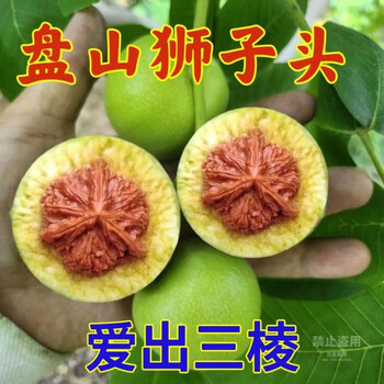 ❤️新入荷❤️No.790❤️文玩くるみ（文玩核桃） 雲南鉄くるみ　精配满肉蛤蟆头 精选六个核桃- 京东