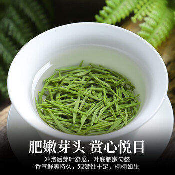 醉君怀茶叶 2026新茶明前嫩芽特级浓香毛尖绿茶自饮 袋装250g自己喝
