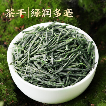 茶满纪茶叶绿茶 毛尖茶浓香新茶2025小罐装春茶嫩芽茶叶50g自己喝