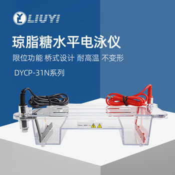 六一牌（LY） 琼脂糖水平电泳仪DYCP-31DN 实验室核酸电泳设备鉴定分离制备DNA电泳槽电泳设备