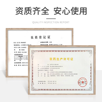 KOOGIS下水道去除小飞虫杀虫剂管道家用基孔肯雅热除灭爬虫蛾蚋隐翅虫药