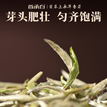 首承白政和老白茶白毫银针特级花香茶叶自己喝180g罐装节日送茶礼送长辈 首承白政和老白茶白毫银针特级花香茶叶自己喝180g罐装节日送茶礼送长辈