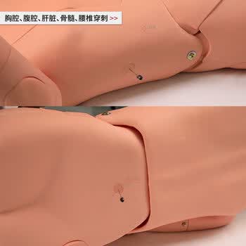勤良高级多功能护理训练模拟人男性急救基础护理练习教学假人穿刺注射导尿模型气管插管训练QL/H130A