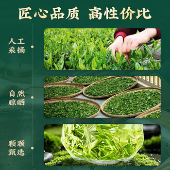 茶满纪茶叶绿茶 毛尖茶浓香新茶2025小罐装春茶嫩芽茶叶50g自己喝