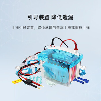 六一牌 四板垂直电泳仪DYCZ-MINI4 实验室制备分析鉴定DNA及测定分子电泳仪