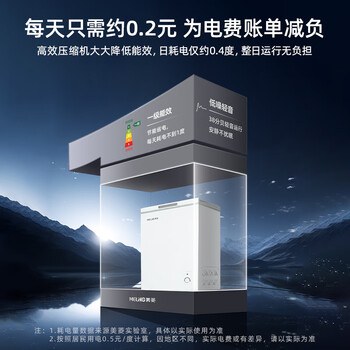 美菱100L单温家用冷柜直冷定频一级能效-35°深冷速冻机械控温PCM面板BC/BD-100DT白