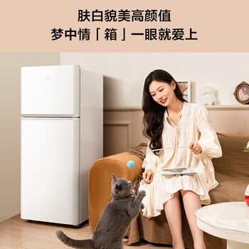 TCL 116升二级能效双开门两门二门养鲜冰箱小户型小型家用节能电冰箱租房118升级款R116L5-B