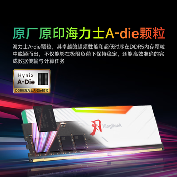 金百达（KINGBANK）32GB(16GBX2)套装 DDR5 6400 台式机内存条海力士A-die颗粒 白刃RGB灯条 C32 Deepseek硬件