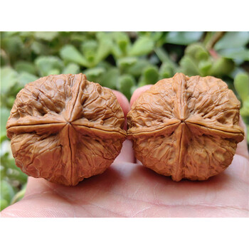 文玩四棱核桃品牌及商品- 京东