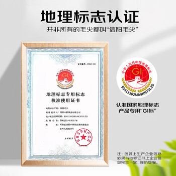 四望山茶叶绿茶信阳毛尖明前嫩芽2025新茶250g特级春茶礼袋节日伴手礼品