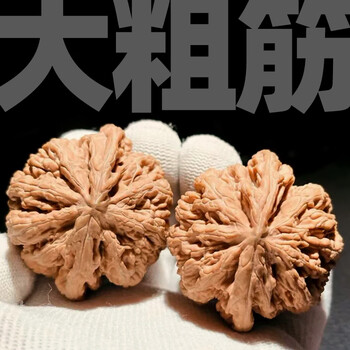 原桩大粗筋核桃 文玩 クルミ 遊ぶ胡桃、文玩核桃、【西北将軍の腕のクルミ】JST25001 その他