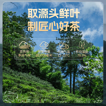 西湖江南茶叶礼盒装正山小种正宗红茶300g高档年货送礼品礼物长辈父母领导