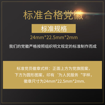 易利丰（elifo）【不褪色】镀金标准款新党员徽章 最新版2024党徽胸章磁吸强磁双面大磁扣 厚度2mm 10个装