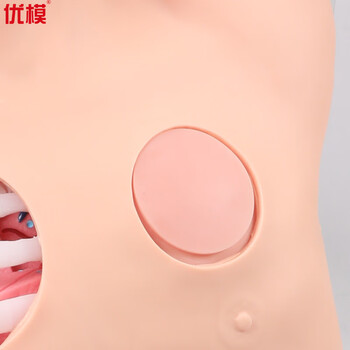 优模胸腔穿刺模拟训练模块张力性气(血)胸呼吸维持技术胸腔穿刺和胸腔闭式引流训练YOMO/L67