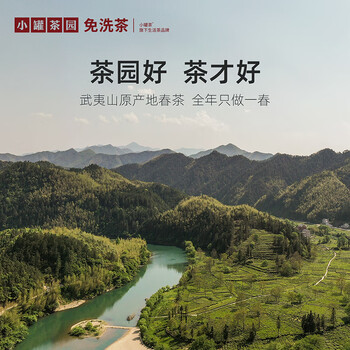 小罐茶园金标系列红茶金骏眉茶一级95g罐装茶叶花果香浓郁 小罐茶出品