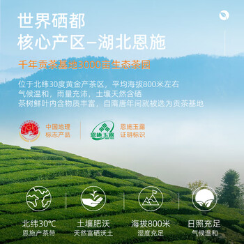 茶马世家绿茶2026新茶明前特级恩施玉露200g湖北特产富硒茶礼盒装送礼