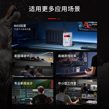 希捷（SEAGATE）NAS硬盘 10TB 256MB 机械硬盘 CMR垂直 静音低耗 数据恢复服务 3.5英寸 希捷酷狼 ST10000VN000