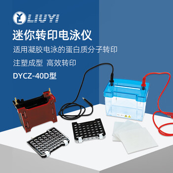 六一牌（LY） 转印电泳仪DYCZ-40D 迷你型实验室凝胶蛋白电泳槽分子转印槽琼脂糖核酸生物电泳设备