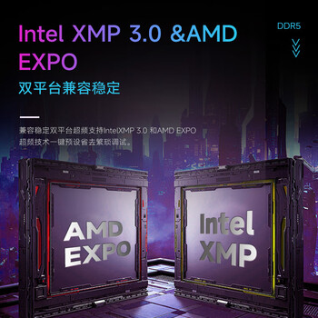 金百达（KINGBANK）32GB(16GBX2)套装 DDR5 6000 台式机内存条 国产颗粒 银爵 C36 Deepseek硬件