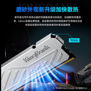 金百达（KINGBANK）64GB(32GBX2)套装 DDR4 3600 台式机内存条海力士原装CJR颗粒 银爵 C18
