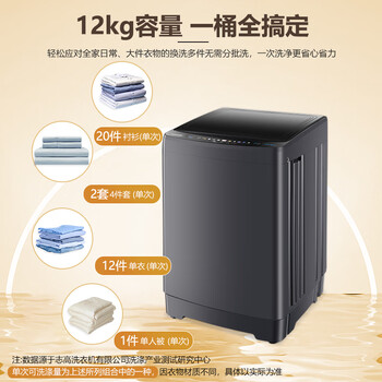 志高（CHIGO）波轮洗衣机 12KG大容量全自动毛毯洗 家用租房宿舍智能洗脱一体蓝光洗护 XQB120-118 