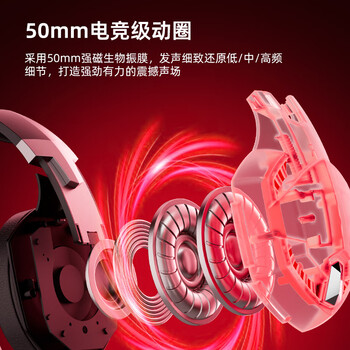 因卓(KOTION EACH)G2000Pro 无线双模头戴式耳机专业电竞游戏网吧三角洲吃鸡FPS有线耳机笔记本台式电脑耳麦 黑红 因卓(KOTION EACH)G2000Pro 无线双模头戴式耳机专业电竞游戏网吧三角洲吃鸡FPS有线耳机笔记本台式电脑耳麦 黑红