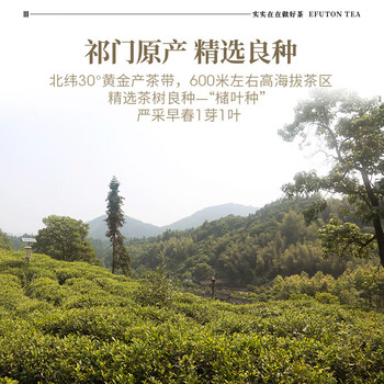 艺福堂红茶安徽祁门祁红浓香型特级金选250g罐装 祁门工夫红茶送礼茶叶