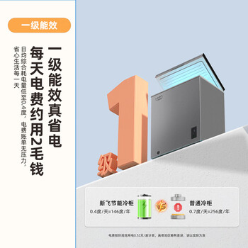 新飞(Frestec)100升全空间减霜迷你家用单温冰柜小冷柜一级能效立式冷柜母乳小冰箱 BC/BD-100KAT/L 新飞(Frestec)100升全空间减霜迷你家用单温冰柜小冷柜一级能效立式冷柜母乳小冰箱 BC/BD-100KAT/L