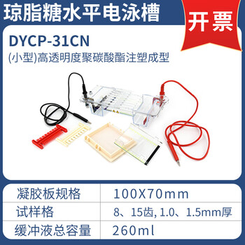 六一琼脂糖水平电泳仪DYCP-31CN电源凝胶实验室垂直电泳槽