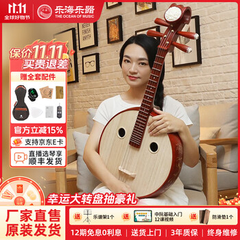 中国　中阮 O1CN01EWKqNb28t0rSrds2Y_!!