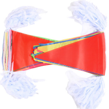 递乐 20*30cm大号串旗三角旗帜彩色100米 婚庆结婚用品婚礼婚房装饰布置彩旗10条/包 5320 递乐 20*30cm大号串旗三角旗帜彩色100米 婚庆结婚用品婚礼婚房装饰布置彩旗10条/包 5320