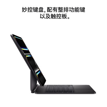 苹果 iPad Pro11英寸 M5芯片 2025年新款平板电脑 512G WLAN版 深空黑色MDWM4CH/A【企业专享】 苹果 iPad Pro11英寸 M5芯片 2025年新款平板电脑 512G WLAN版 深空黑色MDWM4CH/A【企业专享】