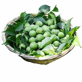 5kg 云南高山照水梅青梅 野生梅子泡酒青梅酵素 优选中果 顺丰
