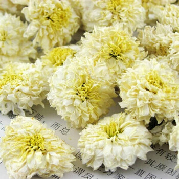 贡菊贡菊花白菊花七月菊菊花茶花草茶柠檬片玫瑰花黄山贡菊50克 图片价格品牌报价 京东