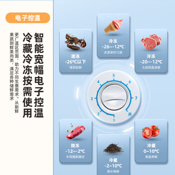 新飞(Frestec)220升家用商用冰柜 双箱双温冷柜 顶开门 冷藏冷冻卧式冰箱BCD-220DHF 新飞(Frestec)220升家用商用冰柜 双箱双温冷柜 顶开门 冷藏冷冻卧式冰箱BCD-220DHF