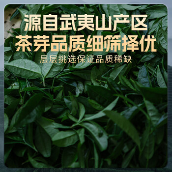 西湖江南茶叶礼盒装正山小种正宗红茶300g高档年货送礼品礼物长辈父母领导