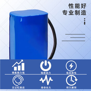 佰达特 打窝船电池7.4V动力电池18650锂电池组装大容量充电电池 7.4V【12000毫安】12节6*2-带板8A/DC双头