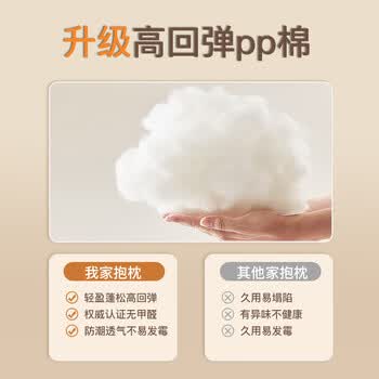 慢说沙发抱枕轻奢高级感可拆洗靠枕床上靠背腰办公室含枕芯内胆45x45