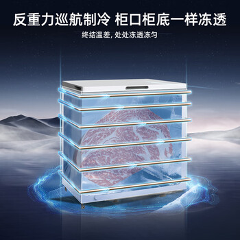 美菱（MeiLing）201升减霜84.1%家用冰柜冷藏冷冻转换冷柜-35°速冻一级能效卧式小冰箱BC/BD-201DT白