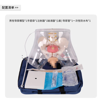 勤良透明男性导尿训练模型 导尿灌肠护理技能训练模拟人 导尿训练人体模型QL/H3D