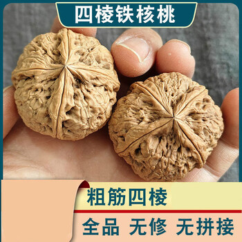 文玩堂：胡桃（鳳羽正四棱）特卖 四棱铁核桃价格报价行情- 京东