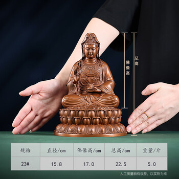 观音莲坐排行- 京东