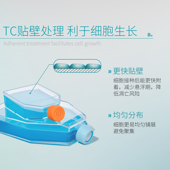 比克曼生物（BKMAM）细胞培养瓶密封矩形斜颈瓶组织培养TC处理 T75斜角透气盖5个 1袋